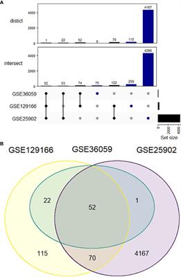 AIM2 as a putative target in acute kidney graft rejection